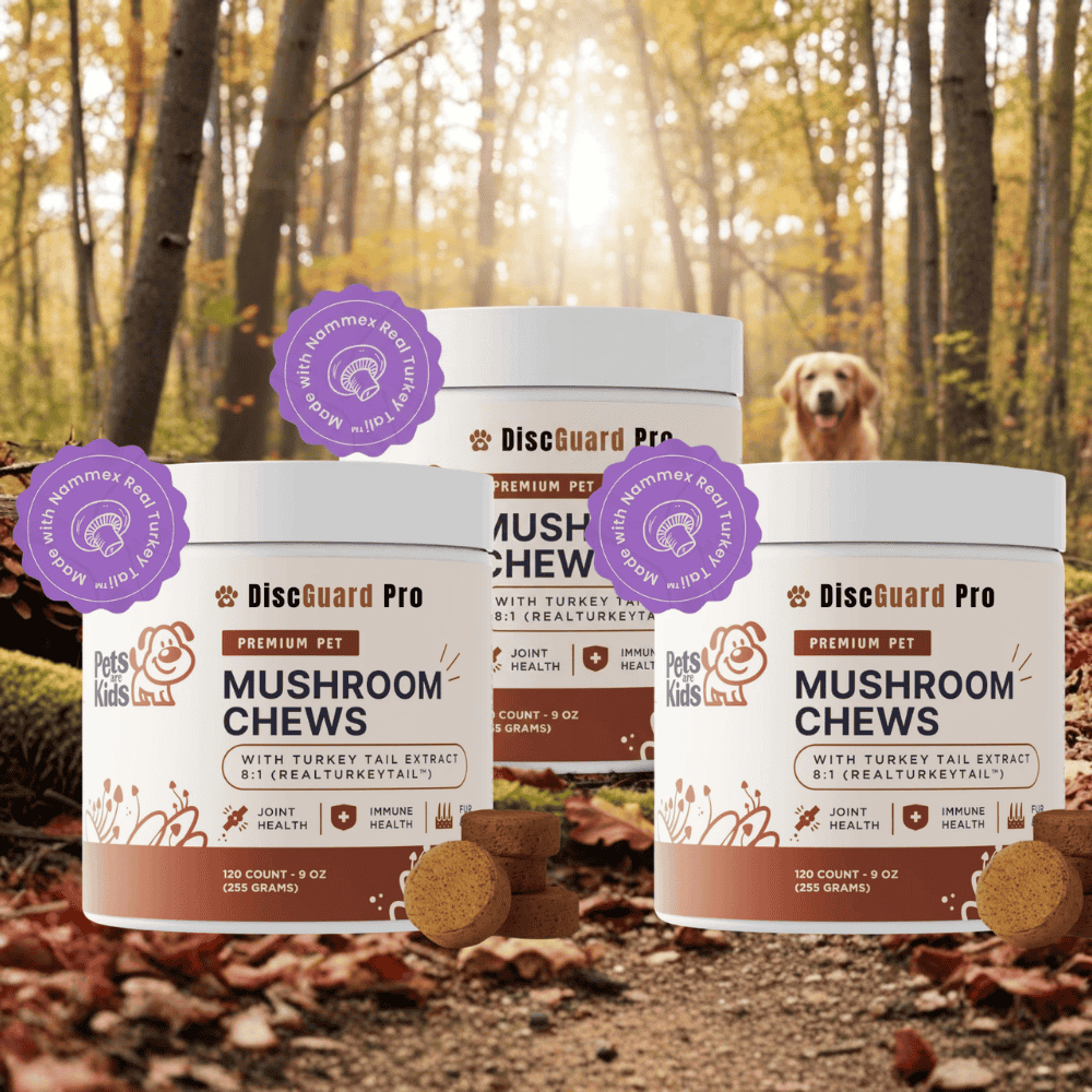 DiscGuard Pro™