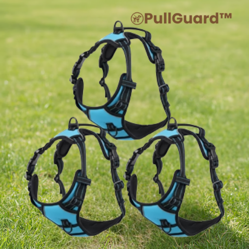 PullGuard™