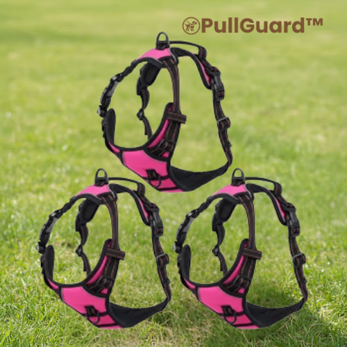 PullGuard™