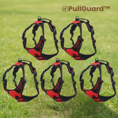 PullGuard™