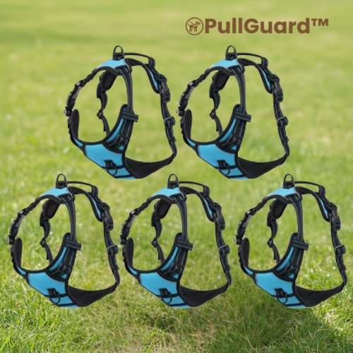 PullGuard™
